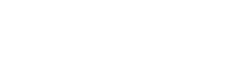 RiskX